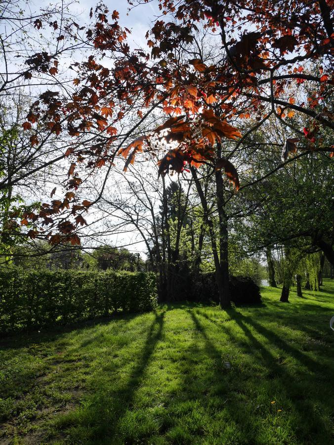 Bed and Breakfast Le Jardin De La Reyssouze Gorrevod Exterior foto